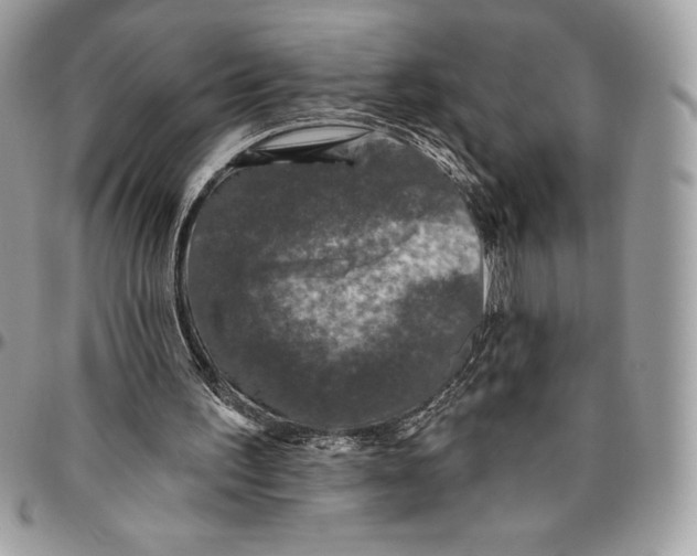 X0000094790195200712071236