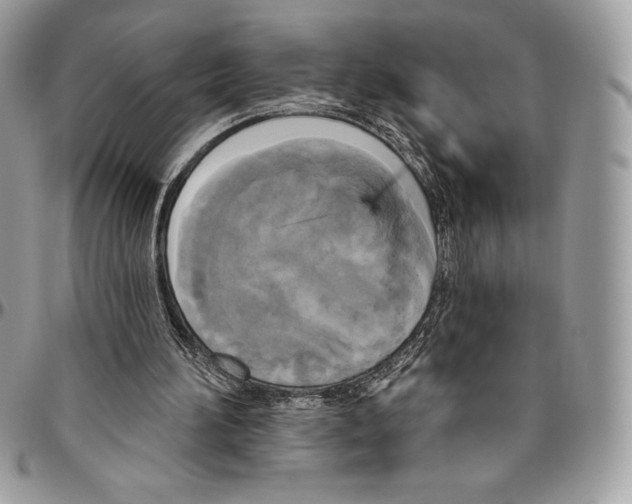 X0000094790196200712071236