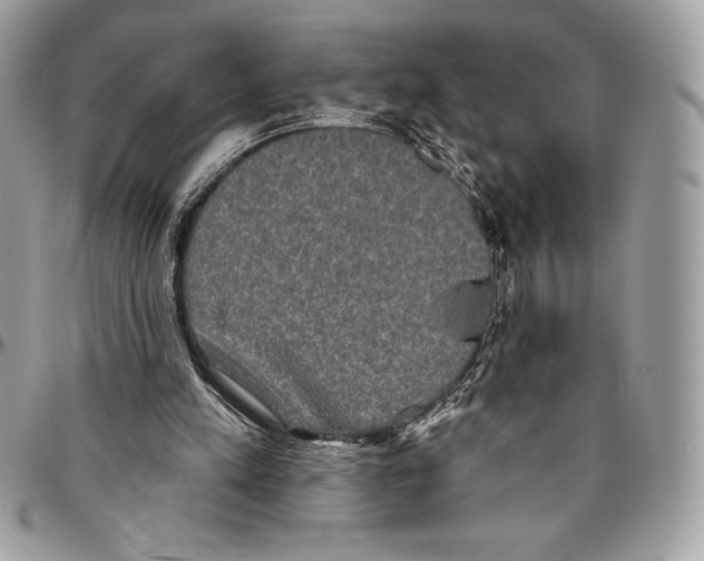 X0000094790197200712071236