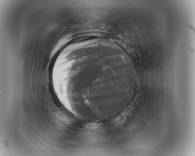 X0000094790198200712071236