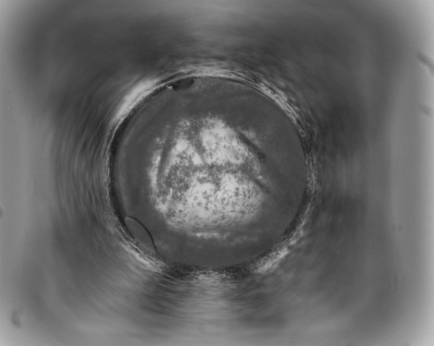 X0000094790199200712071236