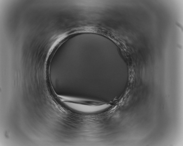 X0000094790200200712071236