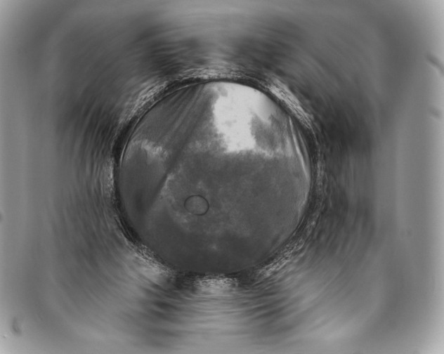 X0000094790202200712071236