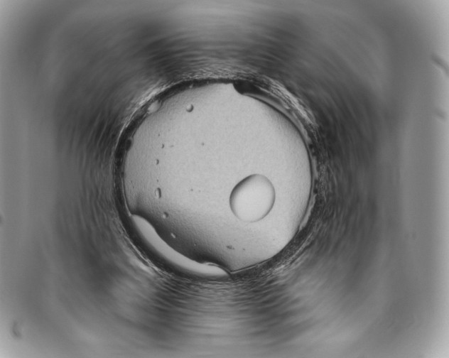 X0000094790203200712071236