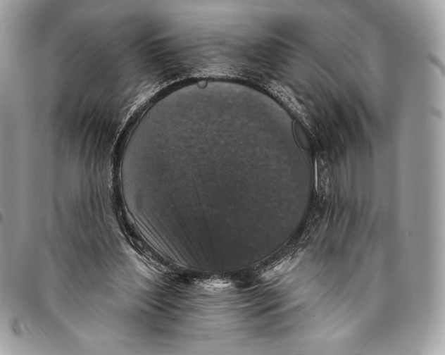 X0000094790204200712071236