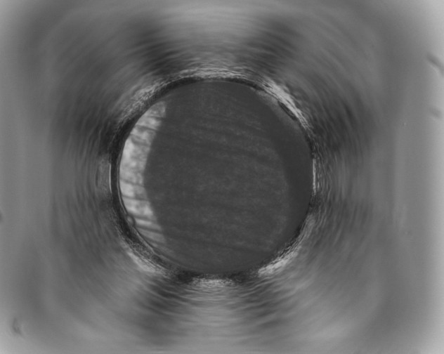 X0000094790205200712071236