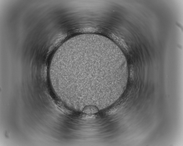 X0000094790206200712071236