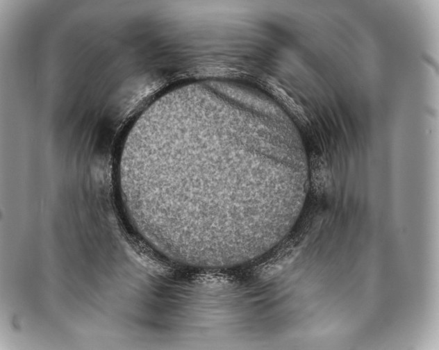 X0000094790207200712071236