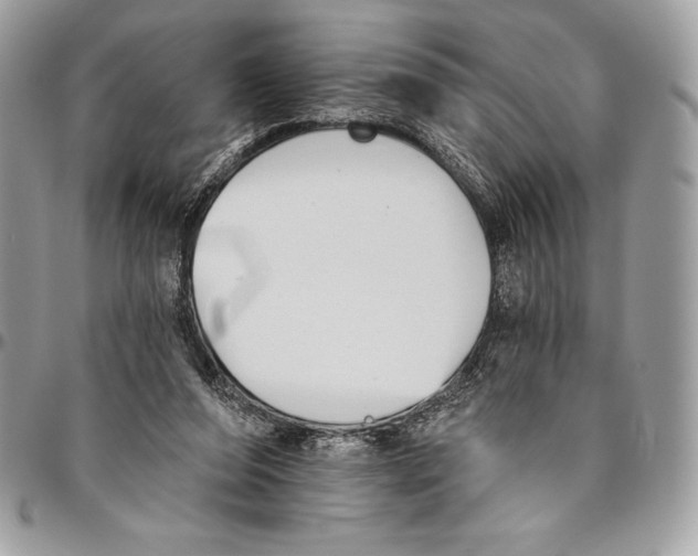 X0000094790208200712071236