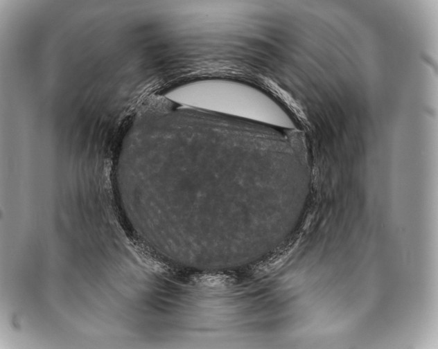 X0000094790209200712071236