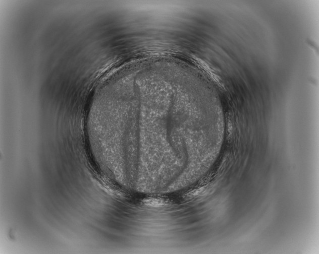 X0000094790211200712071235