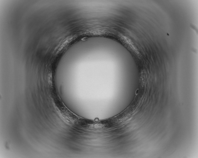 X0000094790212200712071235