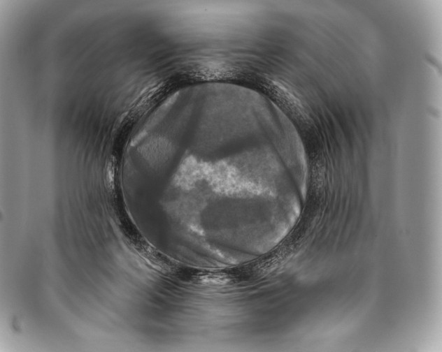 X0000094790214200712071235