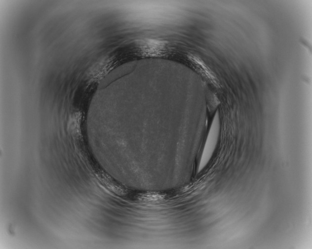 X0000094790217200712071235