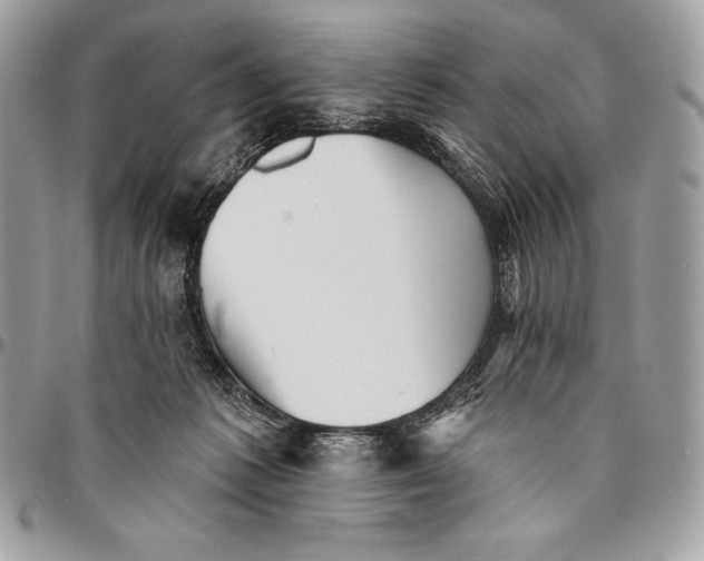 X0000094790221200712071235