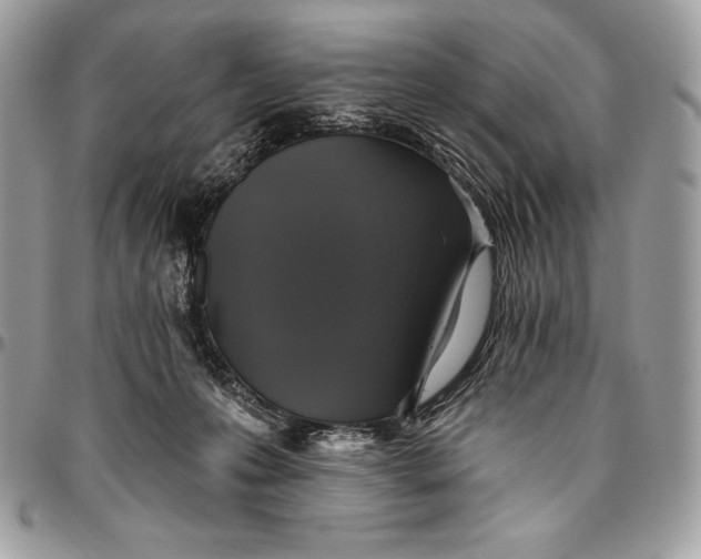 X0000094790223200712071235