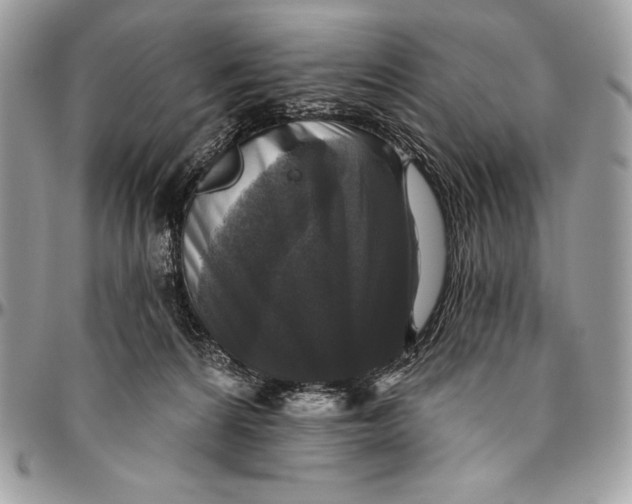 X0000094790224200712071235