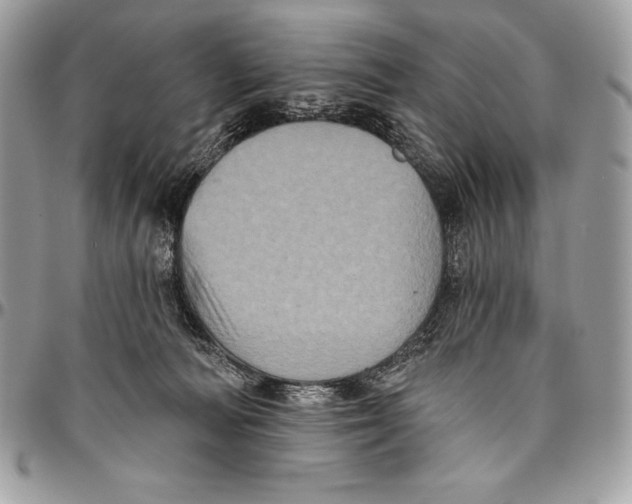 X0000094790226200712071235