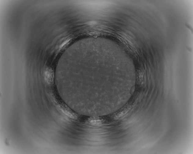 X0000094790228200712071235