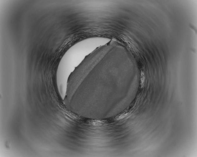 X0000094790229200712071235