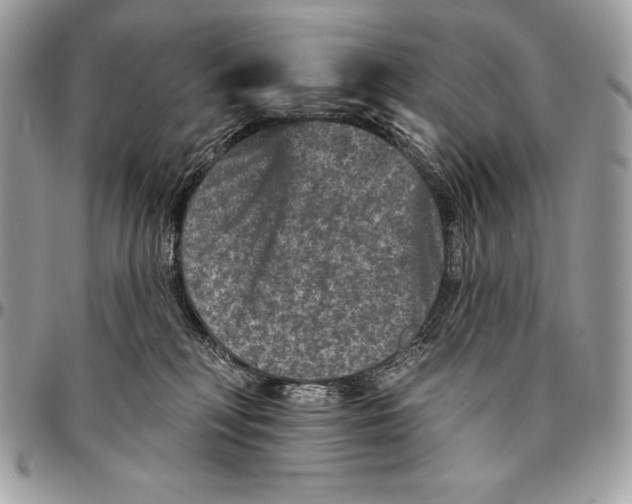 X0000094790230200712071235