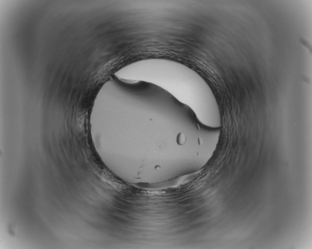 X0000094790233200712071235