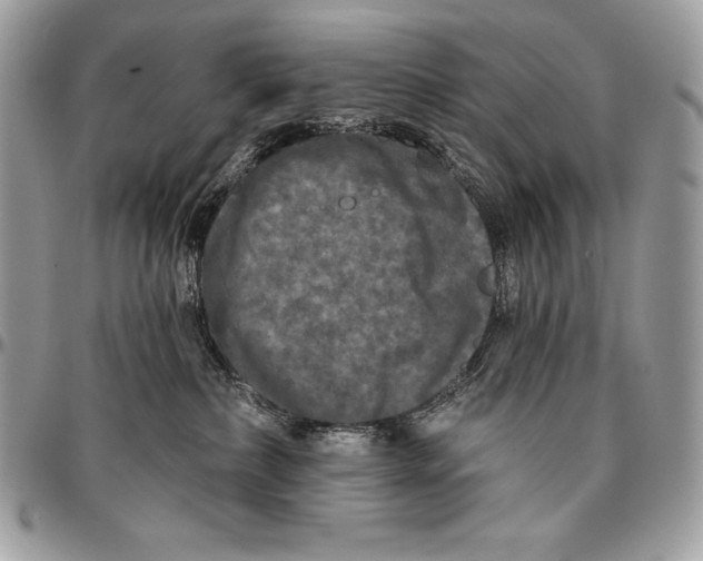 X0000094790236200712071235