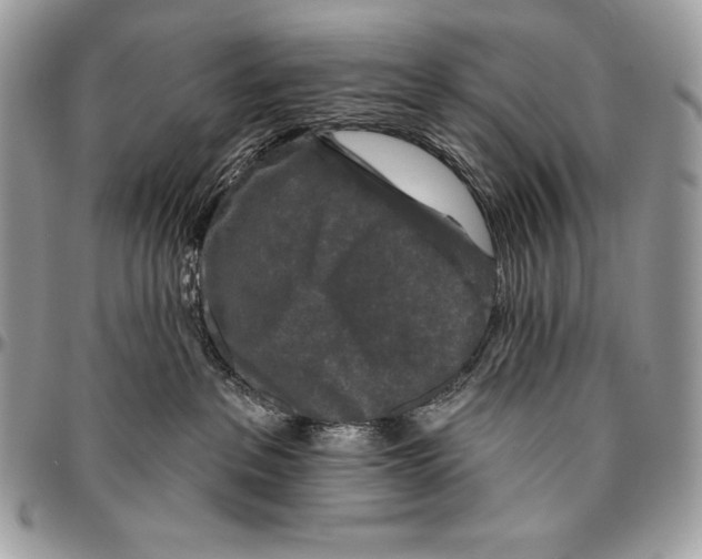 X0000094790237200712071235