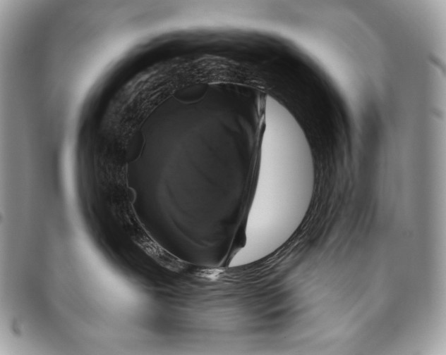 X0000094790239200712071235