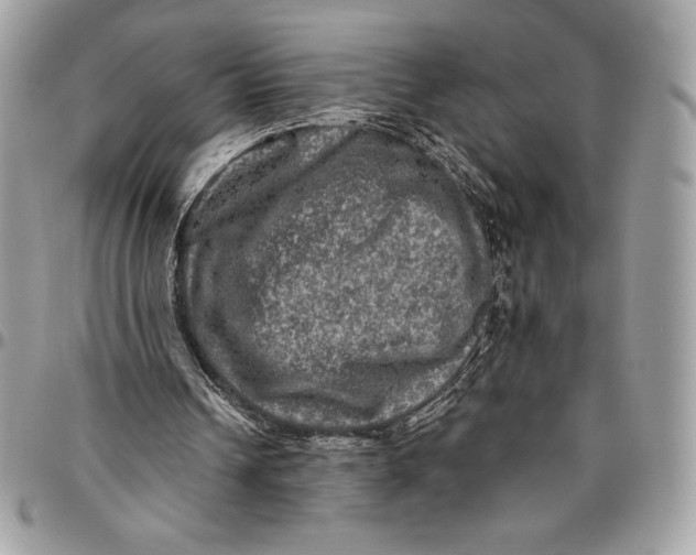 X0000094790242200712071234