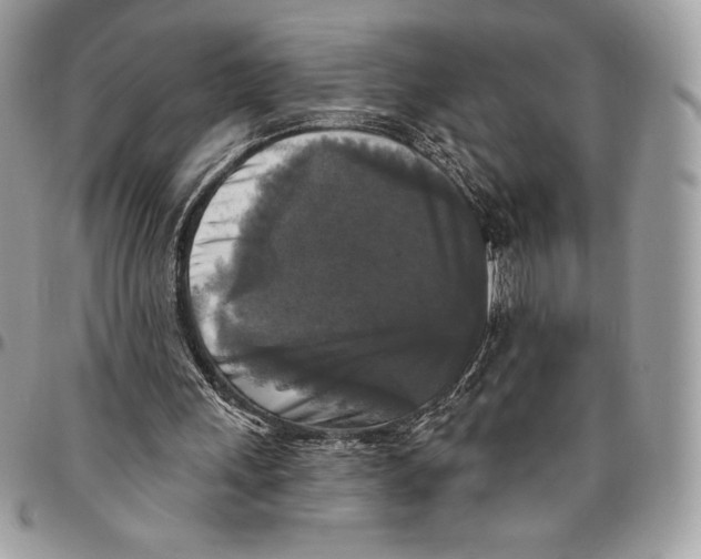 X0000094790243200712071234