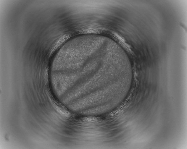 X0000094790250200712071235