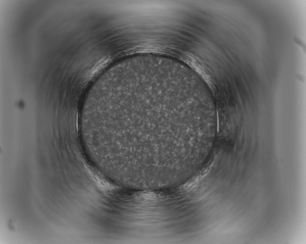 X0000094790253200712071235