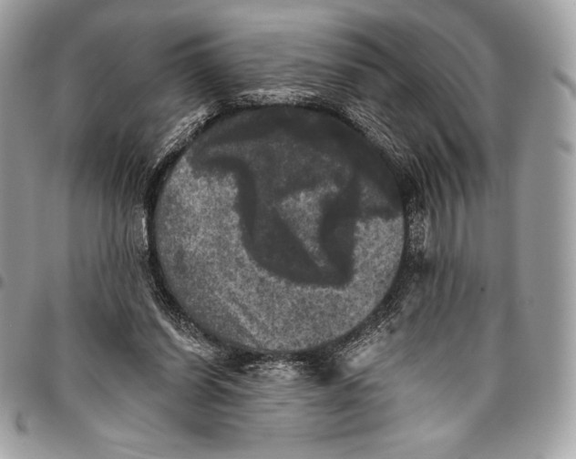 X0000094790254200712071235