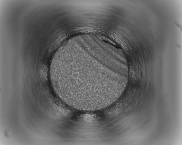 X0000094790255200712071235