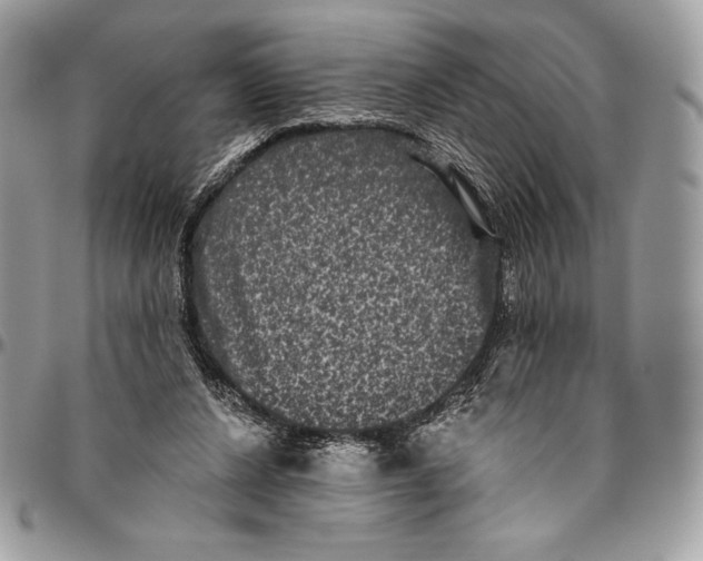 X0000094790256200712071235