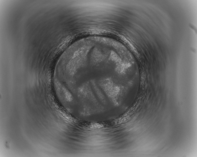 X0000094790257200712071235