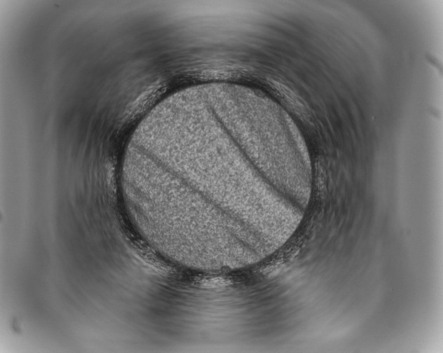 X0000094790258200712071235