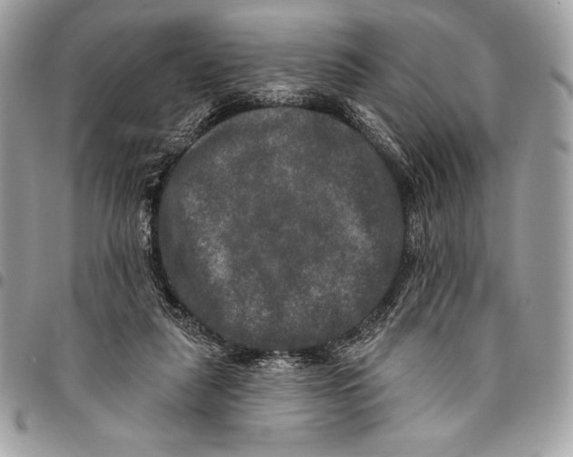 X0000094790259200712071235