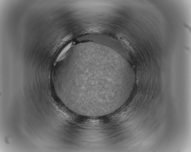 X0000094790260200712071235