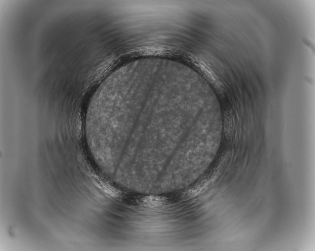 X0000094790261200712071235