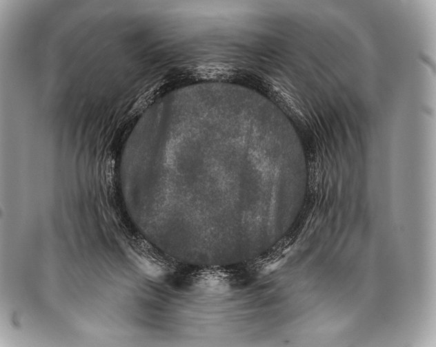 X0000094790263200712071235