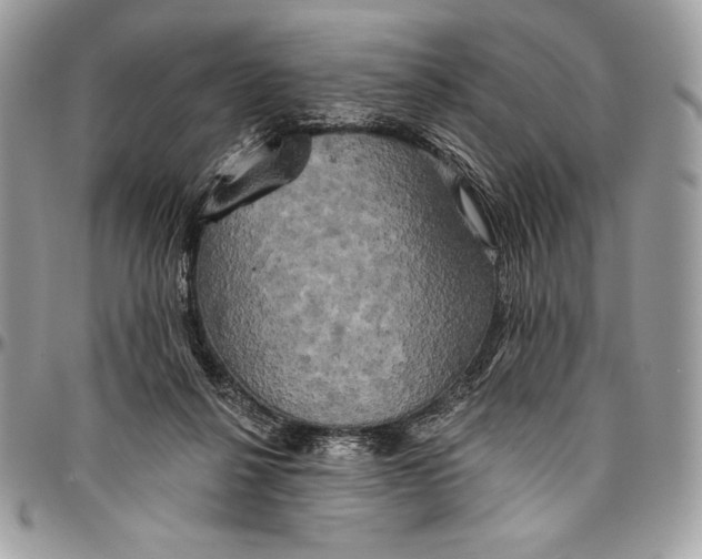 X0000094790264200712071235