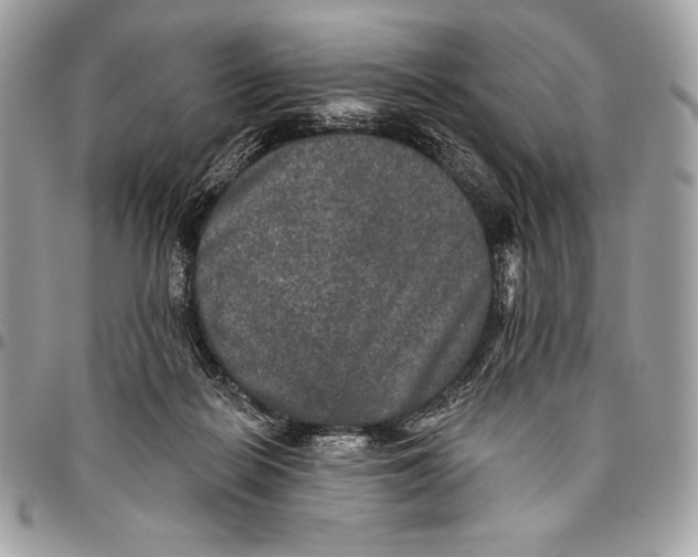 X0000094790266200712071235