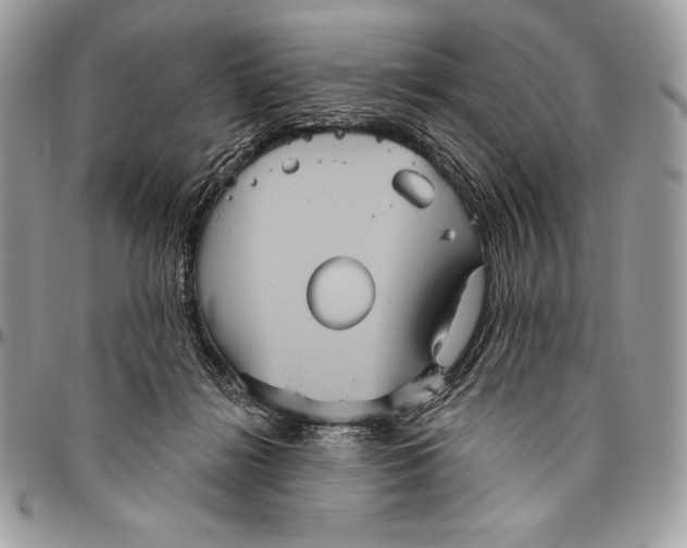 X0000094790268200712071235