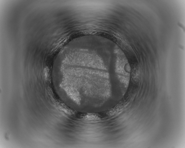 X0000094790270200712071235