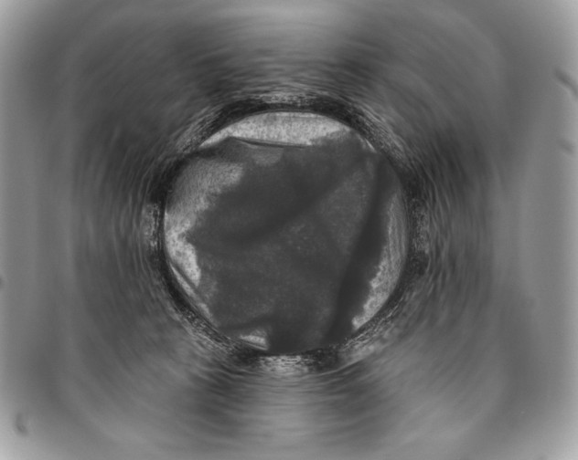 X0000094790273200712071235