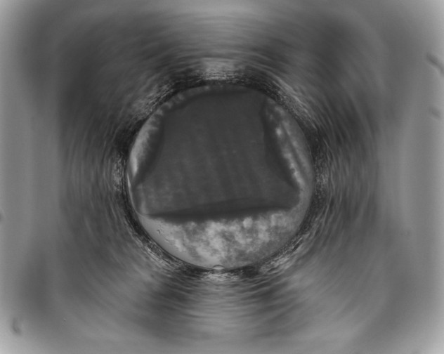 X0000094790277200712071235