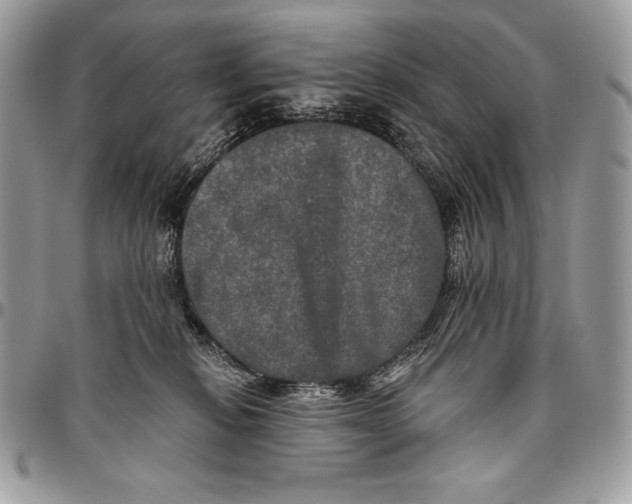 X0000094790278200712071235