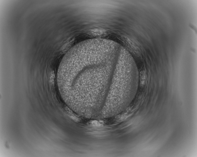 X0000094790279200712071235